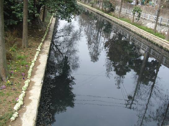 E:\文档\公示\环保公众网公示材料(3,4月)\三月\南湖南河-绿色家园\黑水长河.jpg