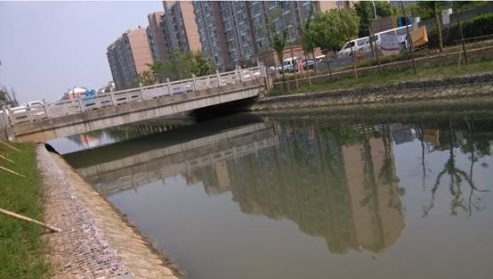 C:\Users\Administrator\Desktop\四月\幸福河\河道东部水体颜色变黑.png